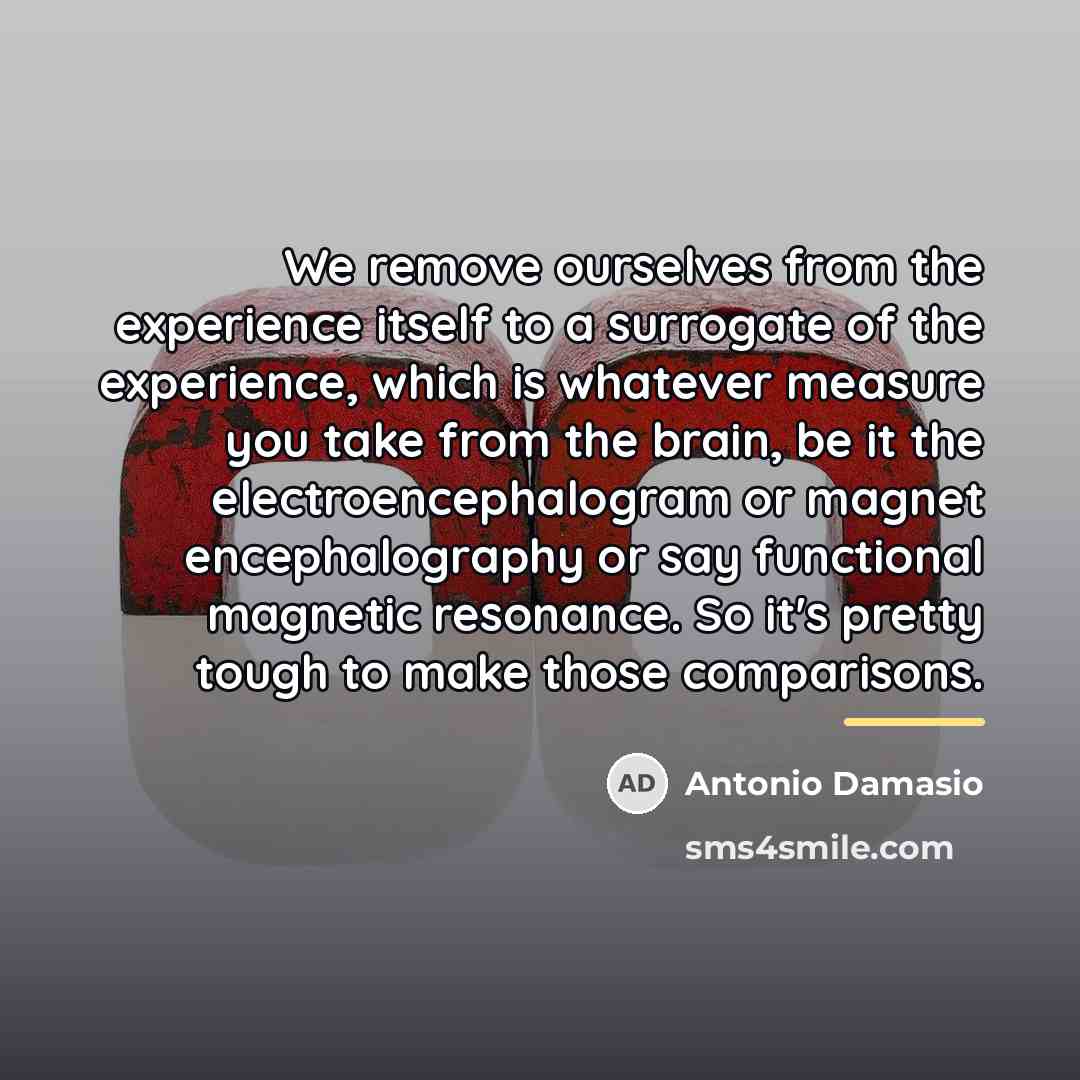 “We remove ourselves from the experience itself to a surrogate…” quote by Antonio Damasio