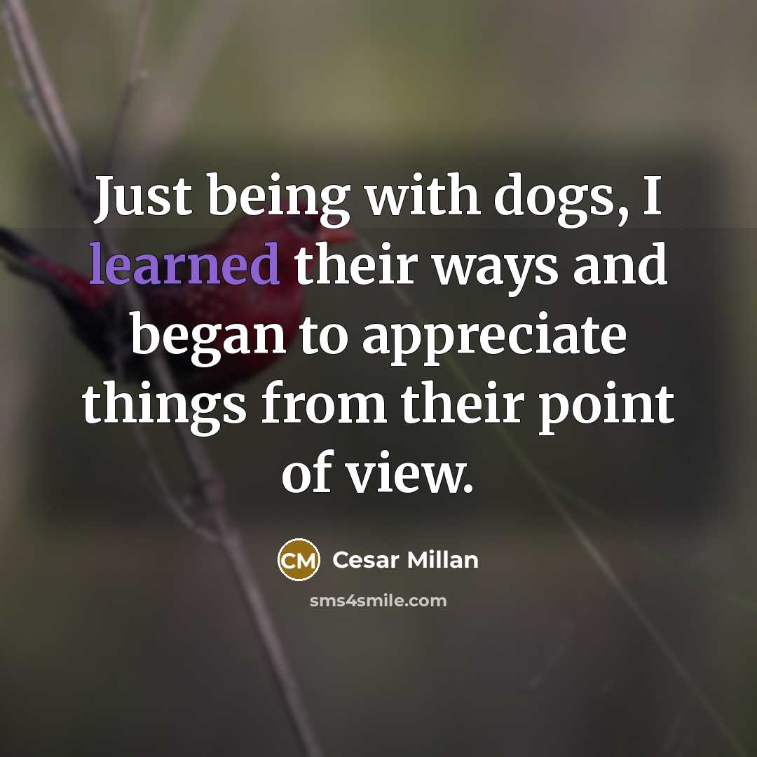 “Just being with dogs, I learned their ways and began…” quote by Cesar Millan