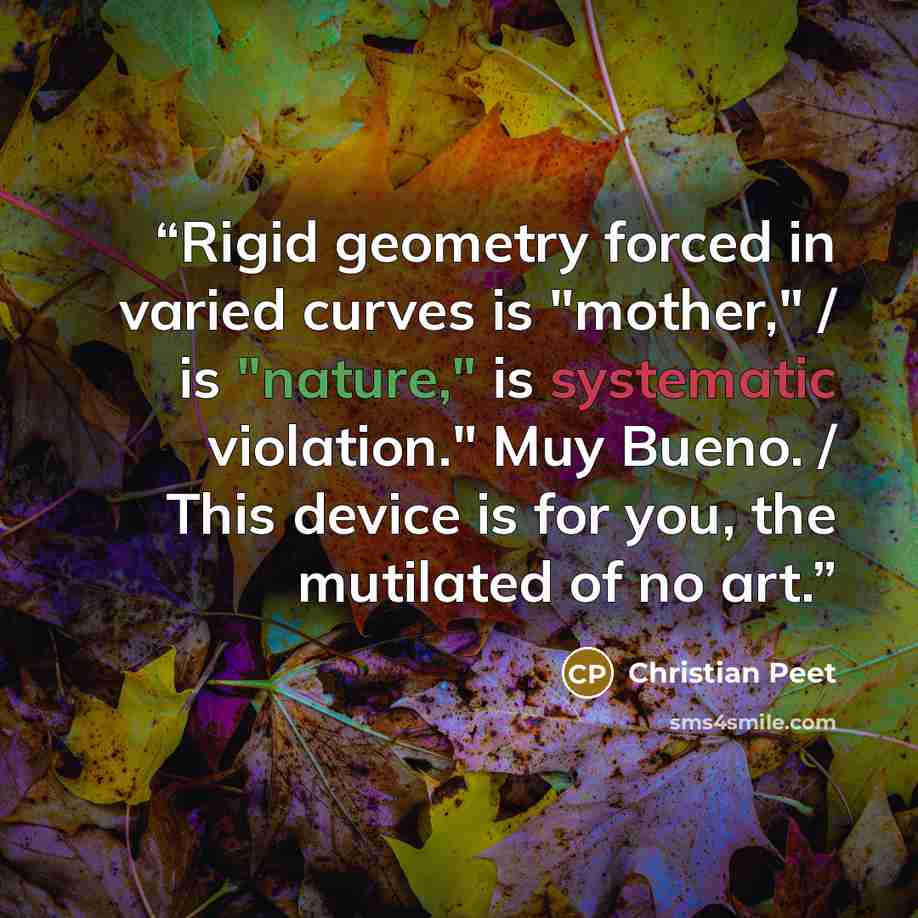 “Rigid geometry forced in varied curves is "mother," / is "nature," is systematic violation." Muy Bueno. / This device is for you, the mutilated of no art.” quote by Christian Peet