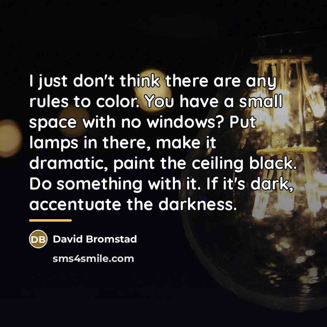 “I just don't think there are any rules to color.…” quote by David Bromstad