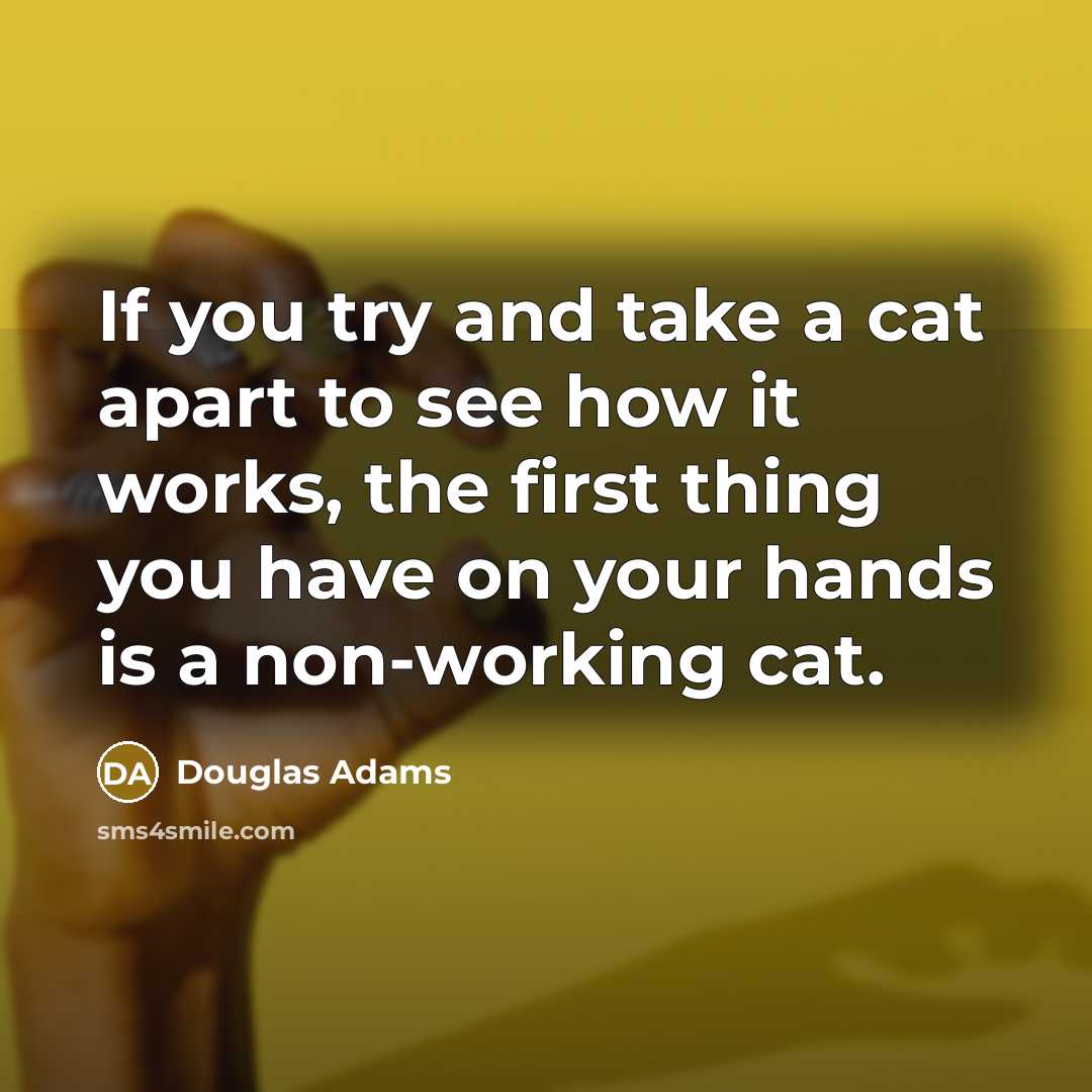 “If you try and take a cat apart to see…” quote by Douglas Adams
