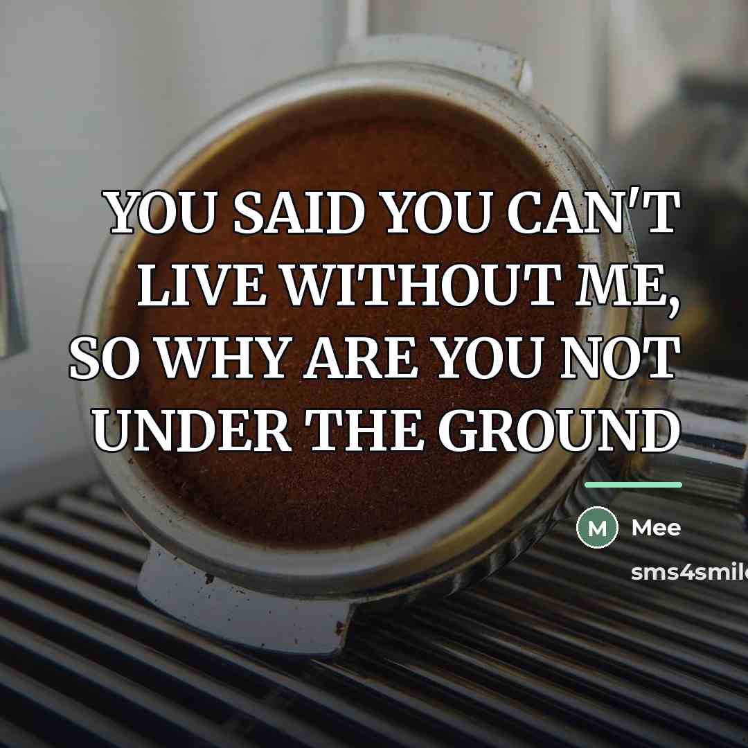 “YOU SAID YOU CAN'T LIVE WITHOUT ME, SO WHY ARE…” quote by Mee