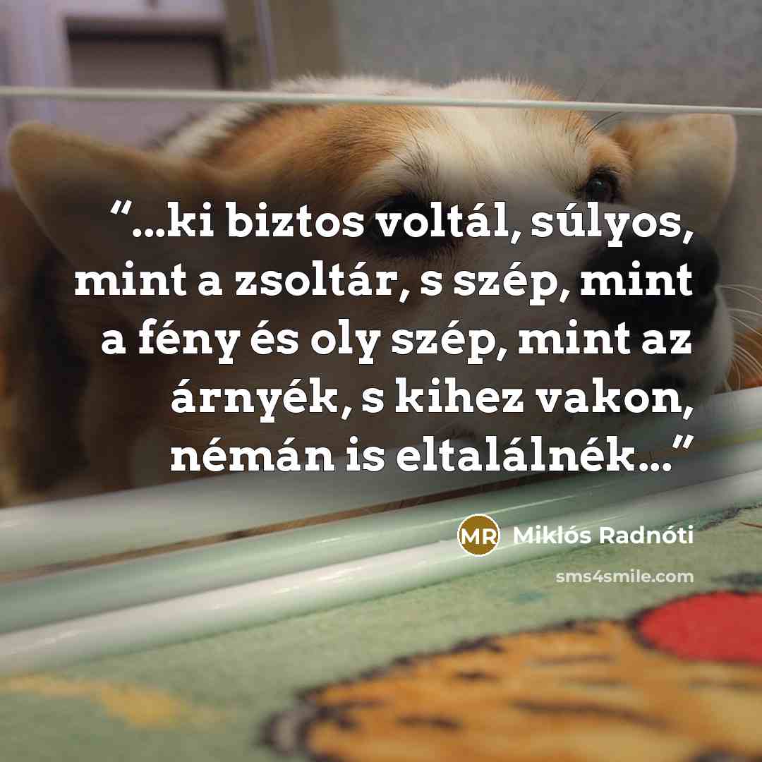 “...ki biztos voltál, súlyos, mint a zsoltár, s szép, mint a fény és oly szép, mint az árnyék, s kihez vakon, némán is eltalálnék...” quote by Miklós Radnóti