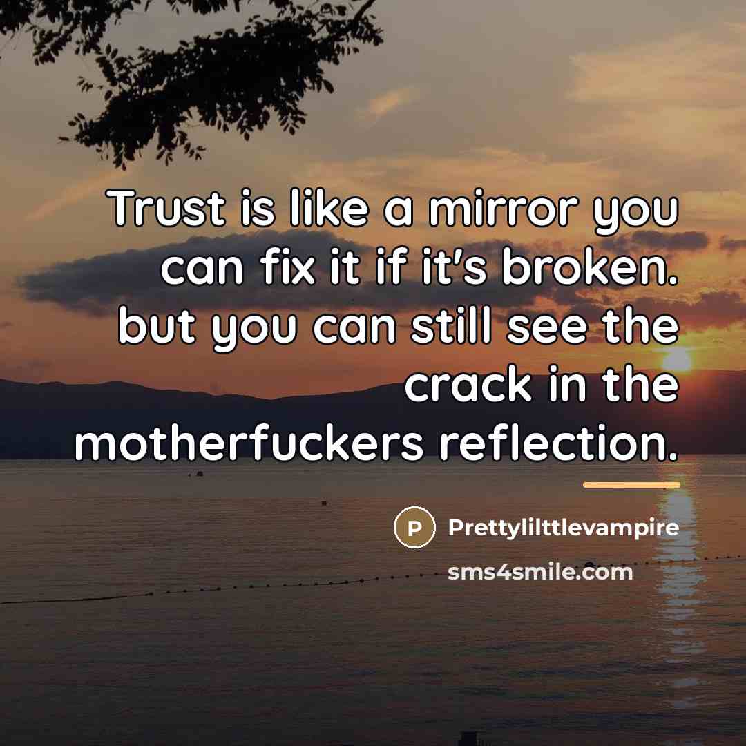 “Trust is like a mirror you can fix it if…” quote by Prettylilttlevampire