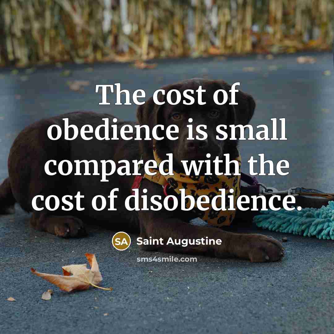 “The cost of obedience is small compared with the cost…” quote by Saint Augustine