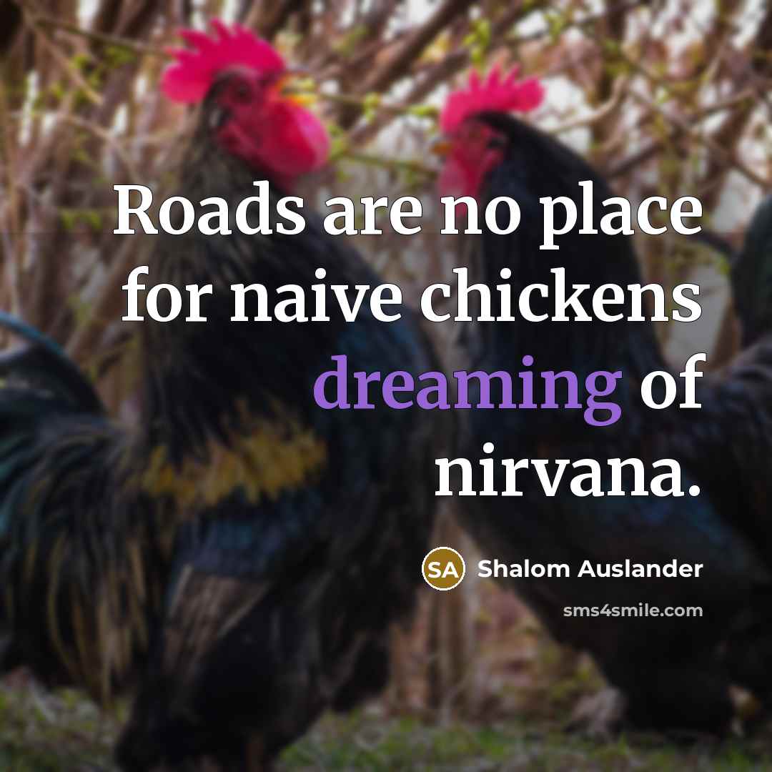 “Roads are no place for naive chickens dreaming of nirvana.…” quote by Shalom Auslander