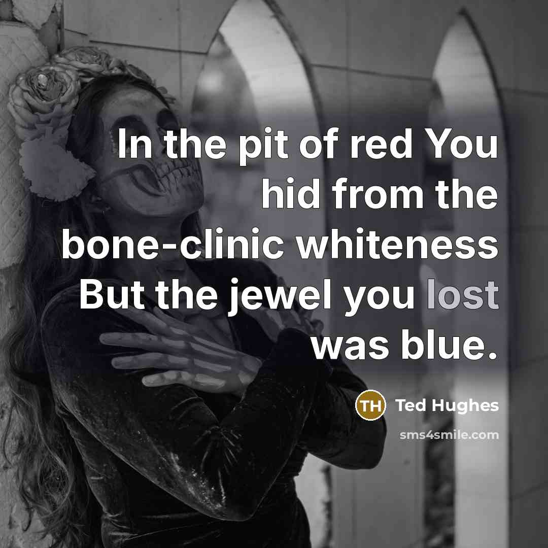 “In the pit of red You hid from the bone-clinic…” quote by Ted Hughes