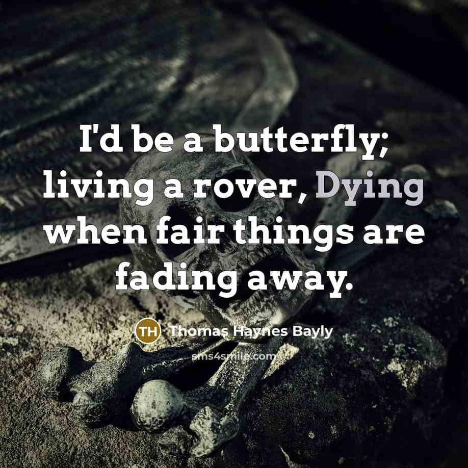 “I'd be a butterfly; living a rover, Dying when fair…” quote by Thomas Haynes Bayly