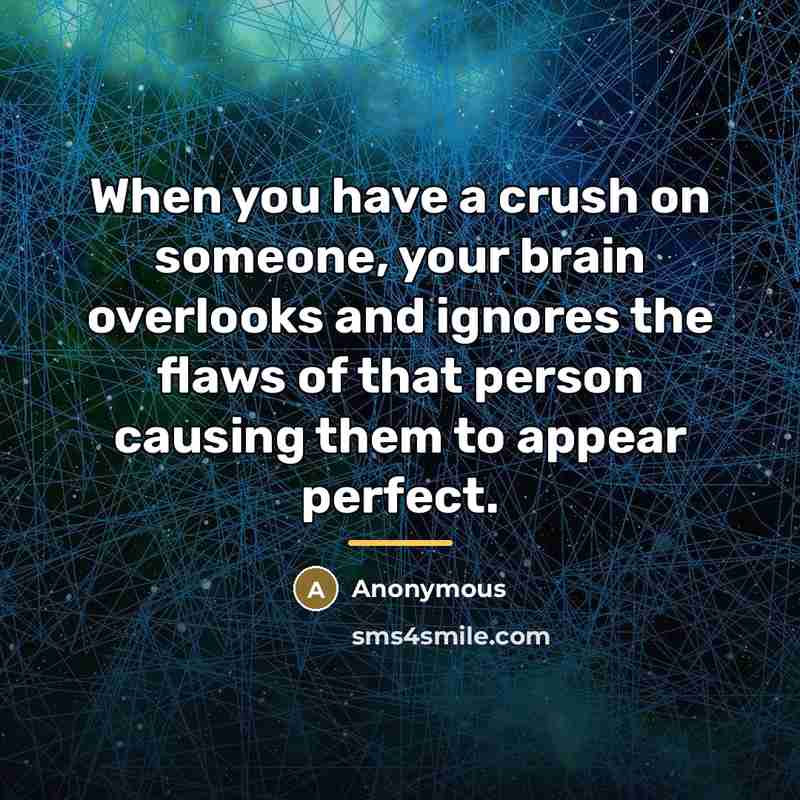 “When you have a crush on someone, your brain overlooks…” quote by Anonymous