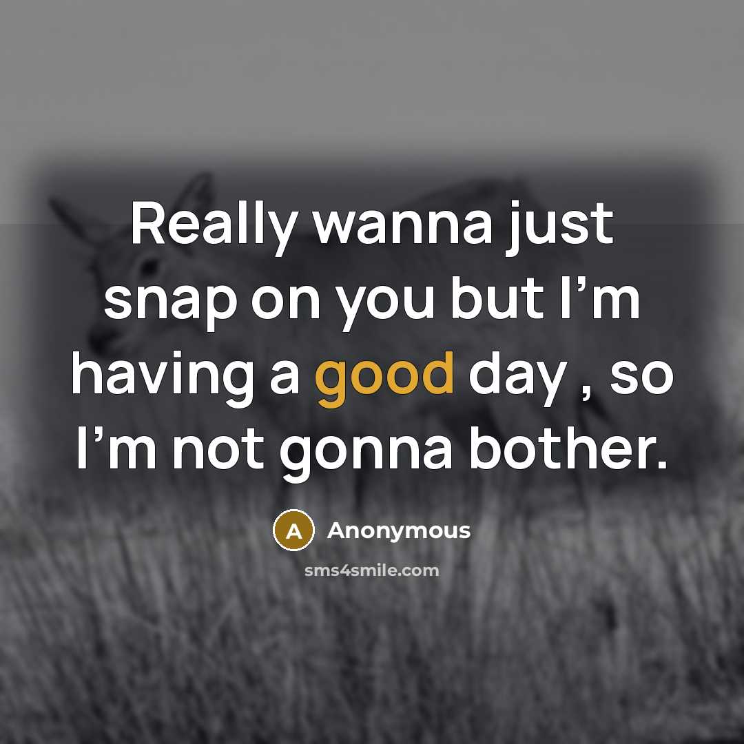 “Really wanna just snap on you but I'm having a good day , so I'm not gonna bother.” quote by Anonymous