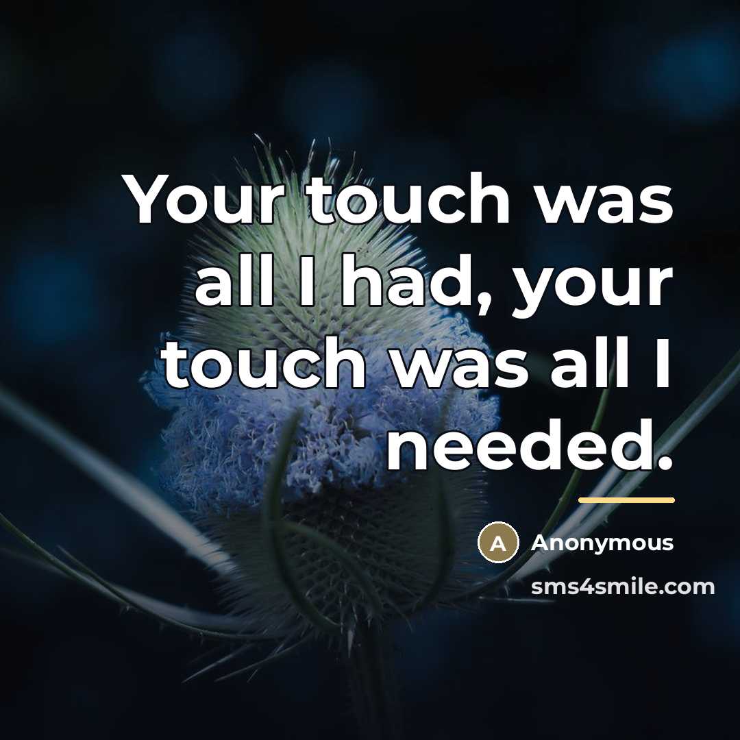 “Your touch was all I had, your touch was all…” quote by Anonymous