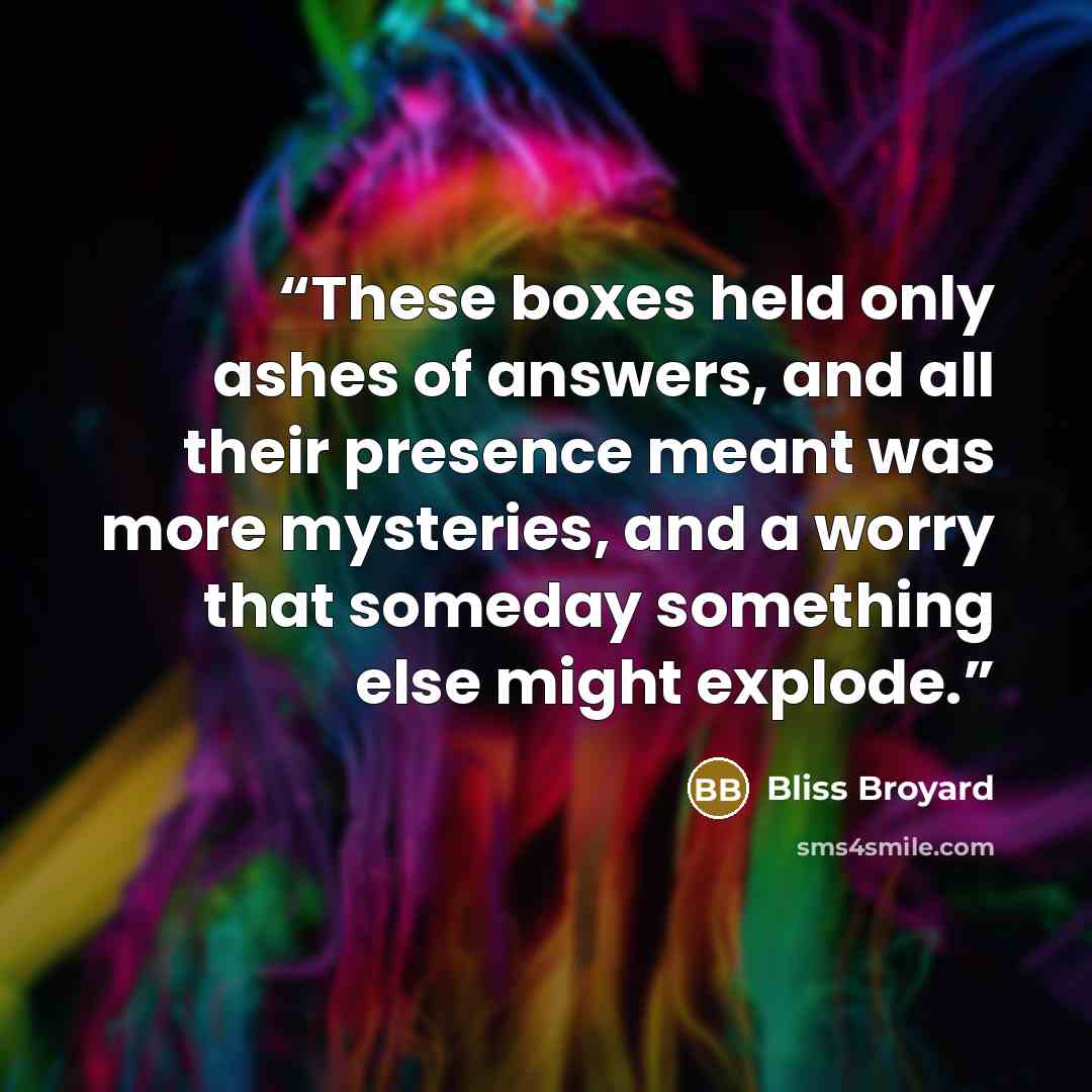“These boxes held only ashes of answers, and all their presence meant was more mysteries, and a worry that someday something else might explode.” quote by Bliss Broyard
