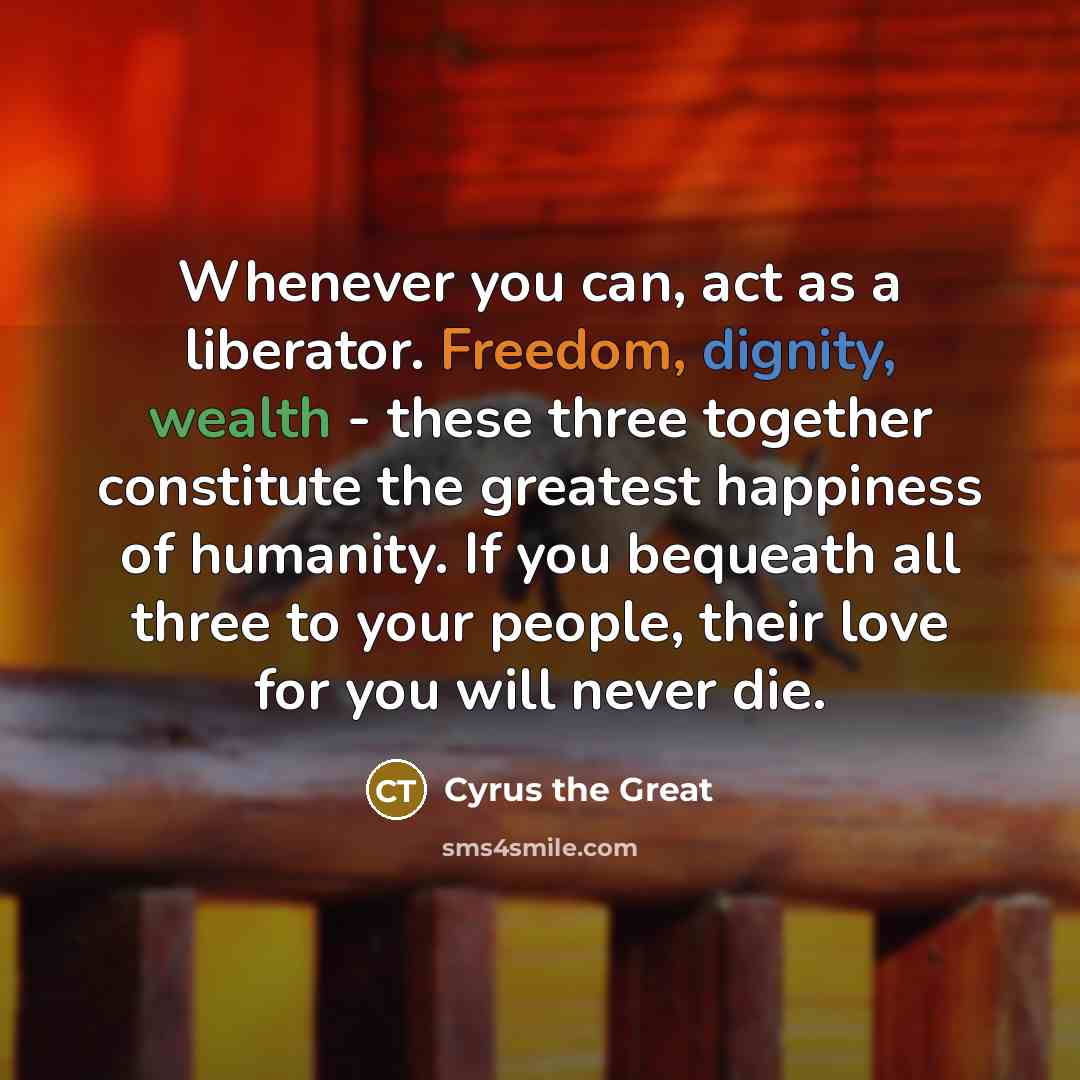 “Whenever you can, act as a liberator. Freedom, dignity, wealth…” quote by Cyrus the Great