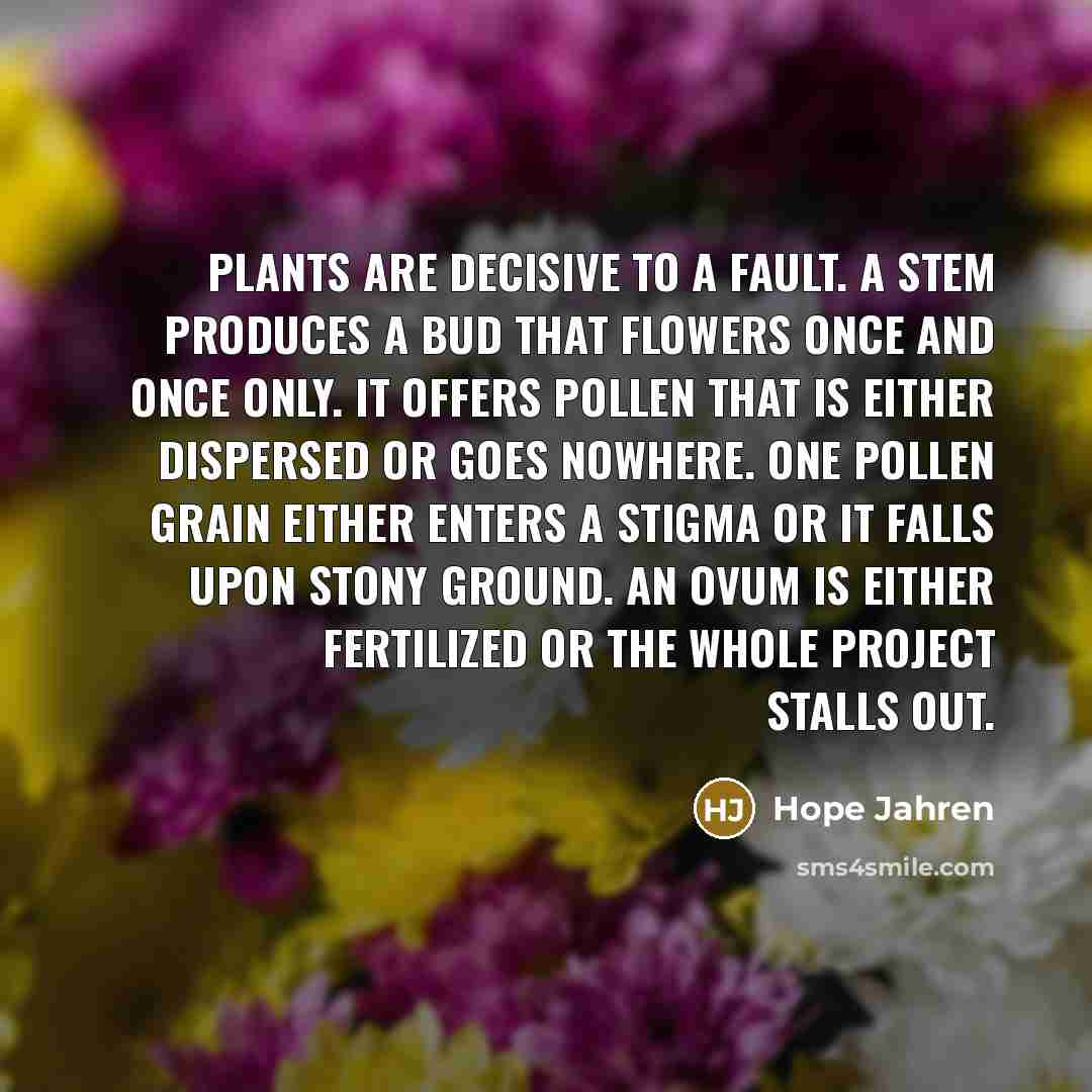 “Plants are decisive to a fault. A stem produces a…” quote by Hope Jahren