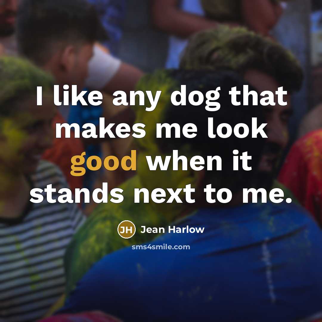 “I like any dog that makes me look good when…” quote by Jean Harlow