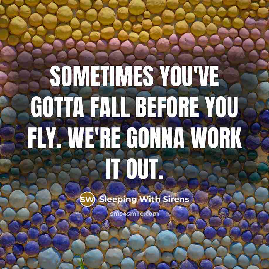 “Sometimes you've gotta fall before you fly. We're gonna work…” quote by Sleeping With Sirens