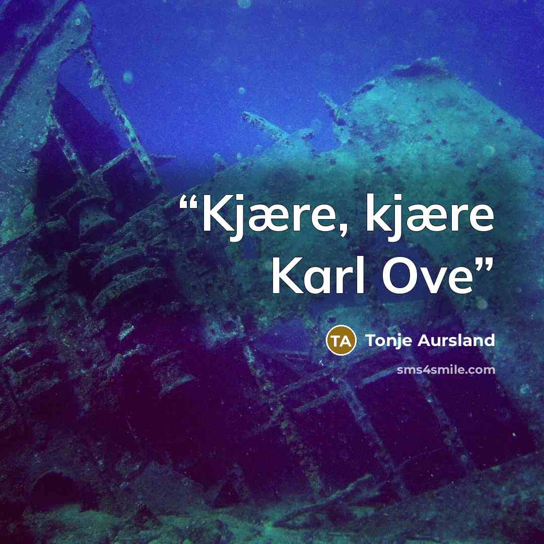 “Kjære, kjære Karl Ove” quote by Tonje Aursland