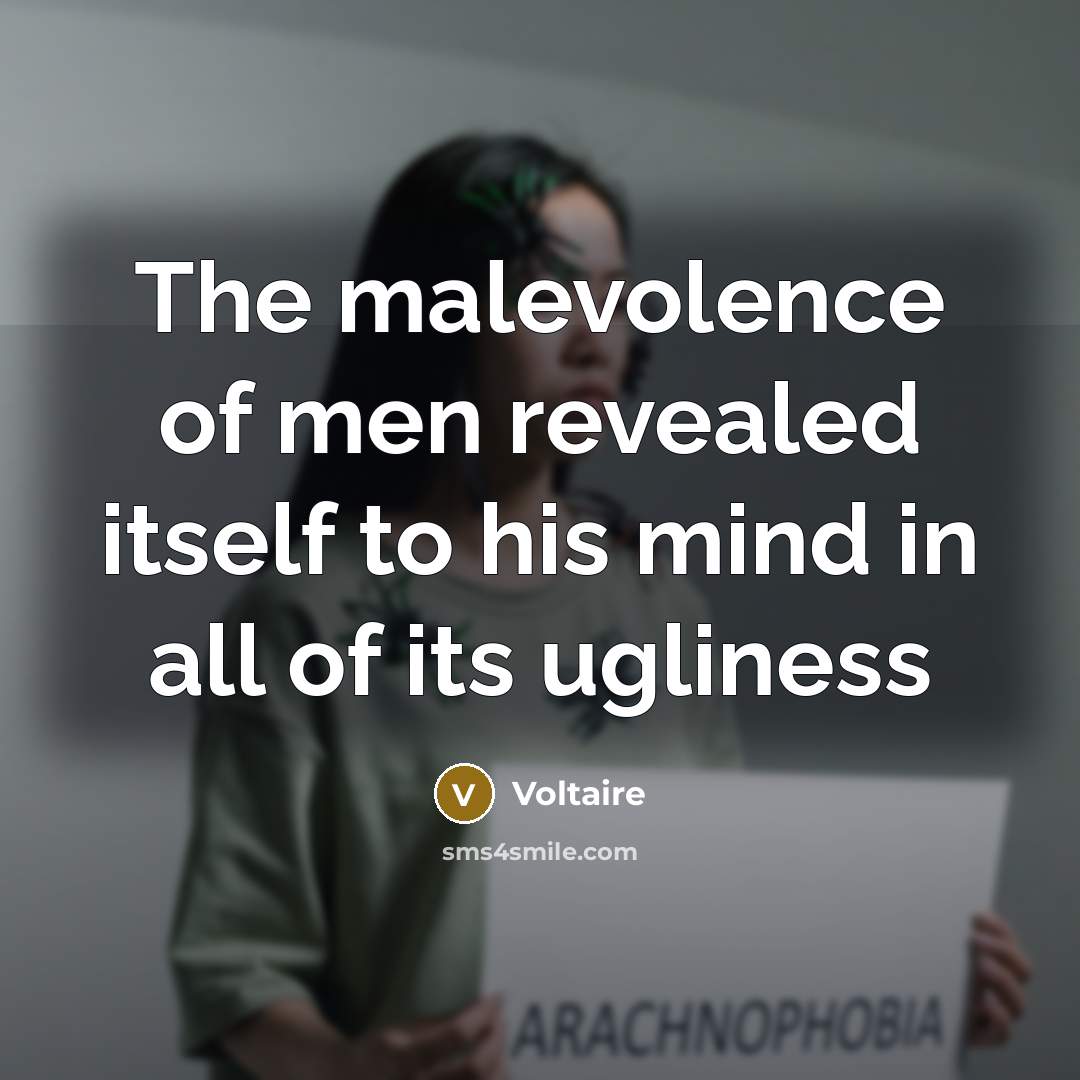 “The malevolence of men revealed itself to his mind in…” quote by Voltaire