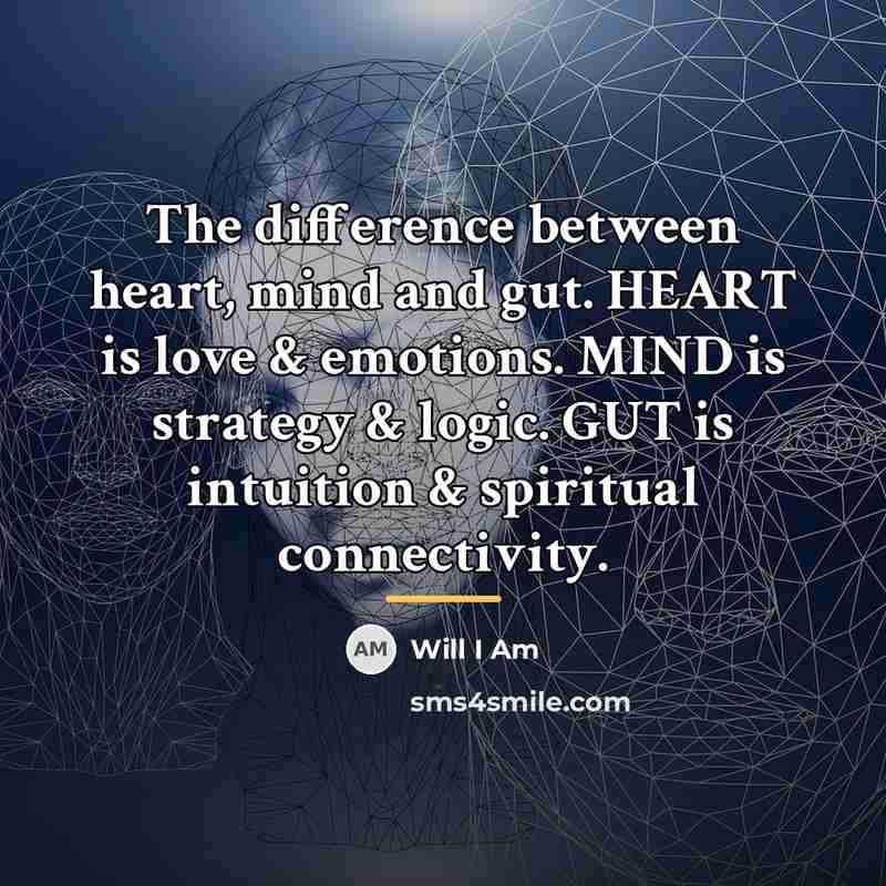 “The difference between heart, mind and gut. HEART is love…” quote by Will I Am