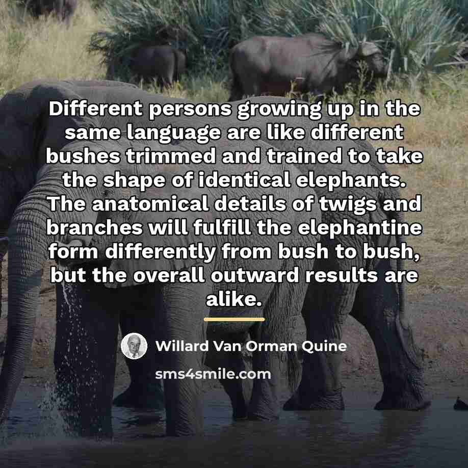 “Different persons growing up in the same language are like…” quote by Willard Van Orman Quine