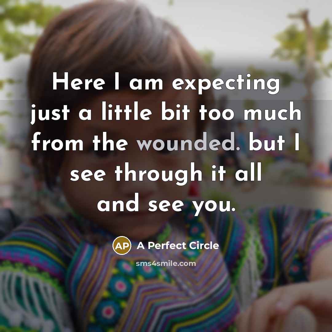 “Here I am expecting just a little bit too much…” quote by A Perfect Circle