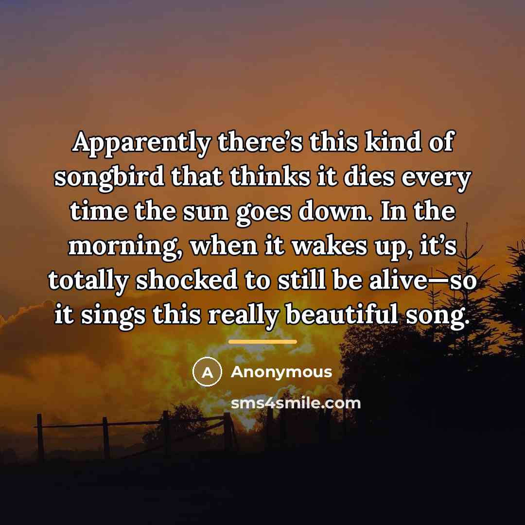 “Apparently there’s this kind of songbird that thinks it dies…” quote by Anonymous