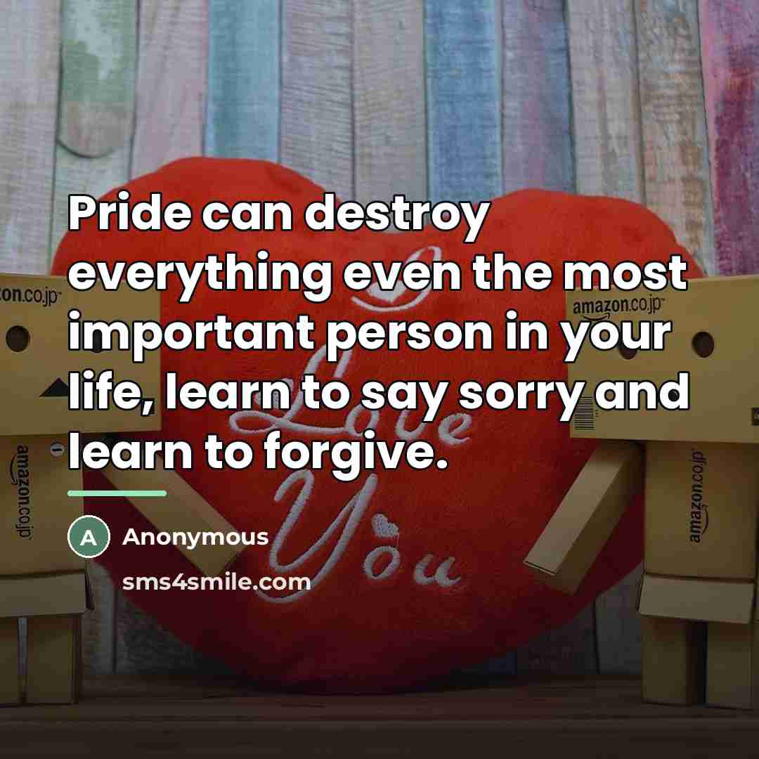 “Pride can destroy everything even the most important person in…” quote by Anonymous