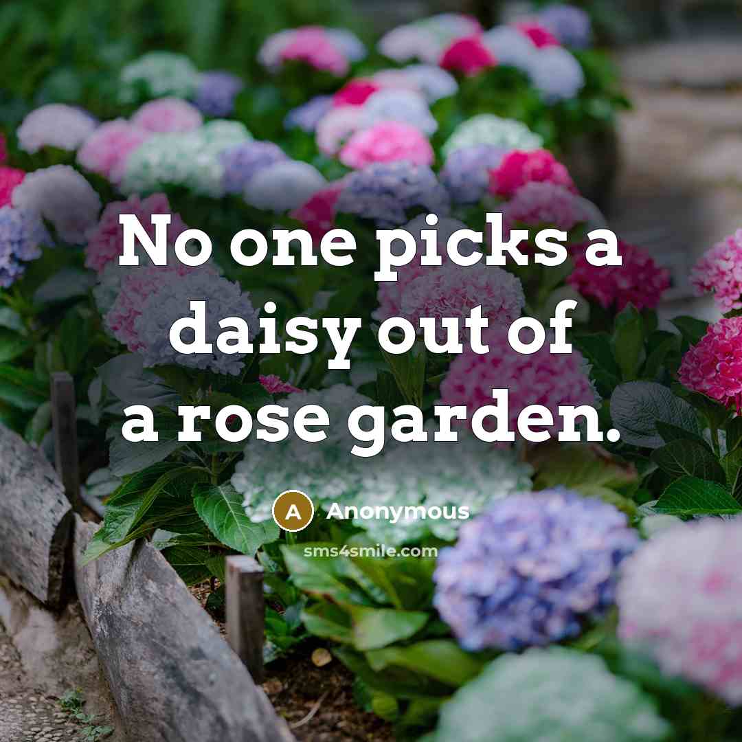 “No one picks a daisy out of a rose garden.…” quote by Anonymous