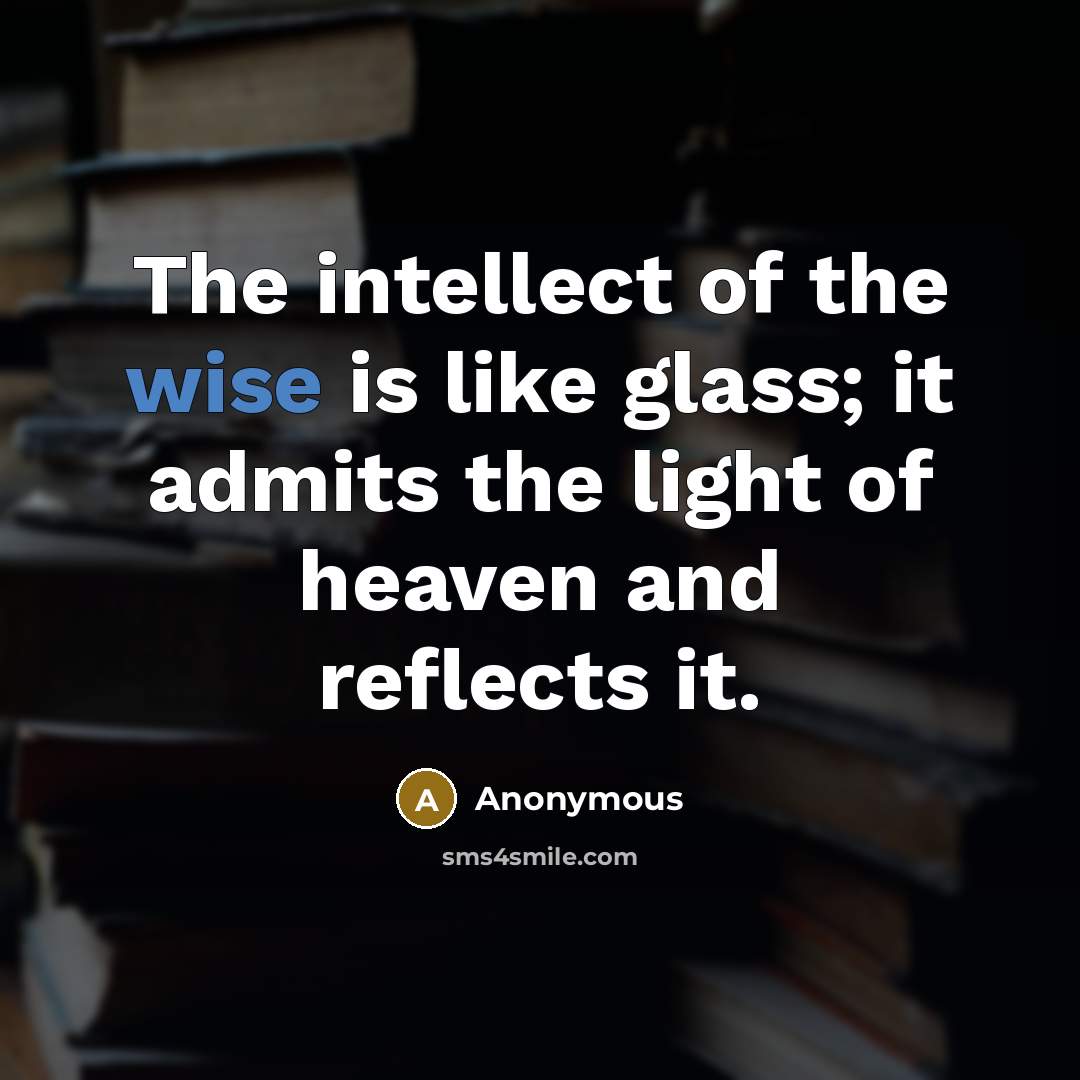 “The intellect of the wise is like glass; it admits…” quote by Anonymous