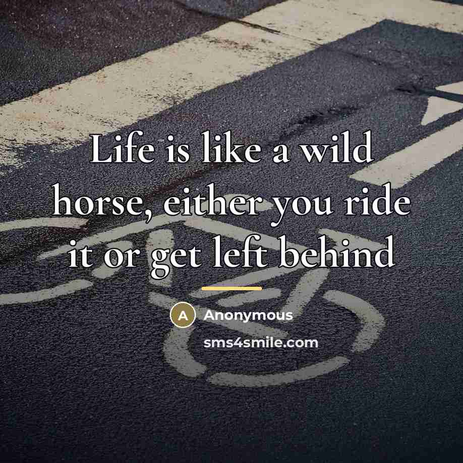 “Life is like a wild horse, either you ride it…” quote by Anonymous