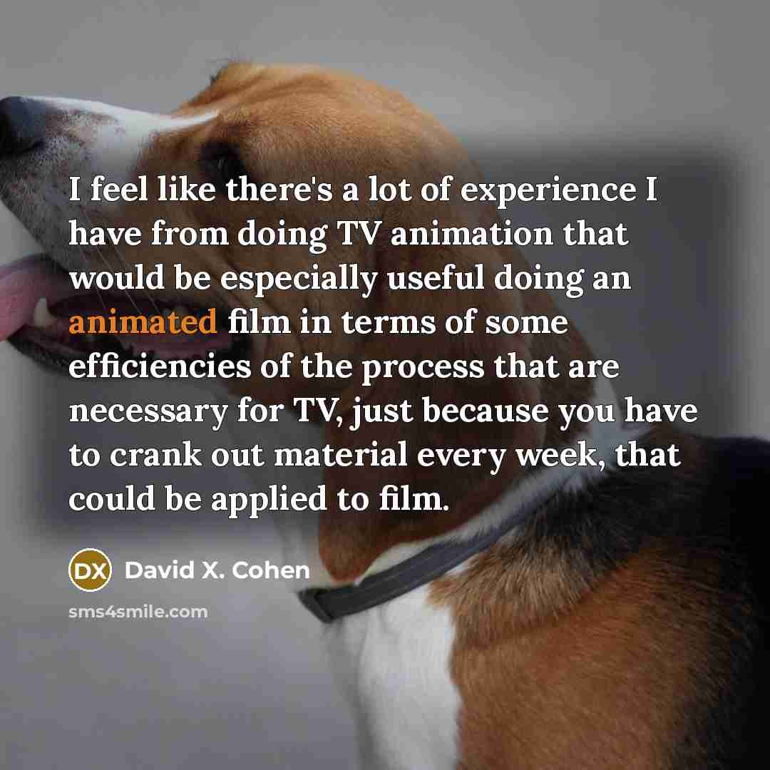 “I feel like there's a lot of experience I have…” quote by David X. Cohen