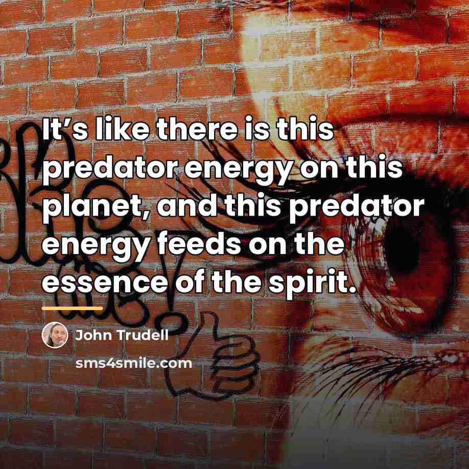 “It’s like there is this predator energy on this planet,…” quote by John Trudell