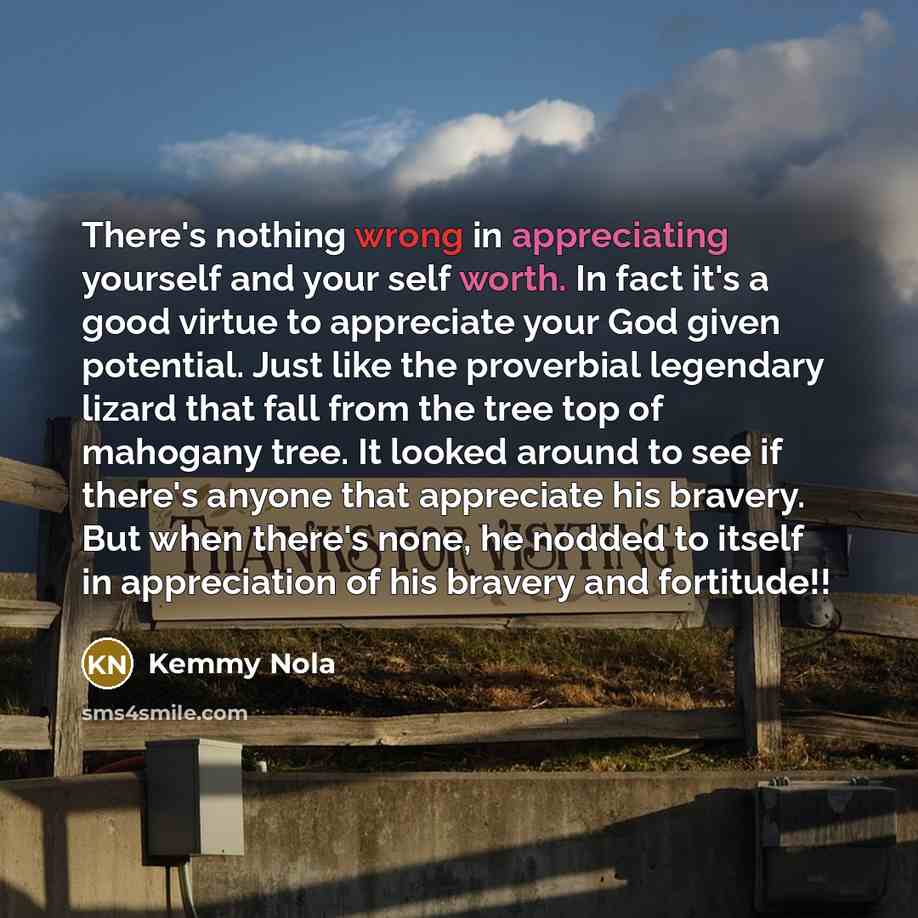 “There's nothing wrong in appreciating yourself and your self worth. In fact it's a good virtue to appreciate your God given potential. Just like the proverbial legendary lizard that fall from the tree top of mahogany tree. It looked around to see if there's anyone that appreciate his bravery. But…” quote by Kemmy Nola