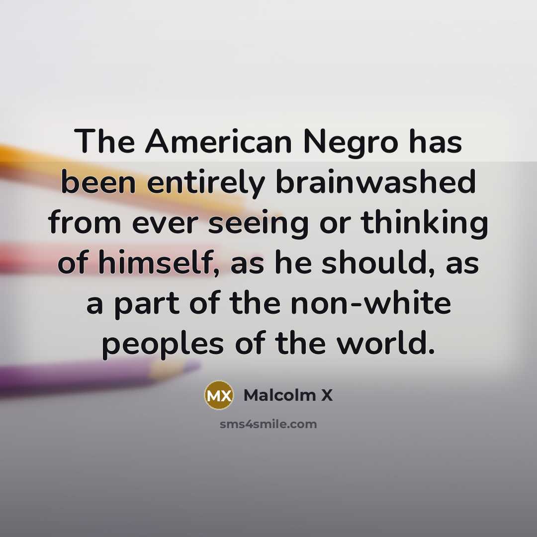 “The American Negro has been entirely brainwashed from ever seeing…” quote by Malcolm X