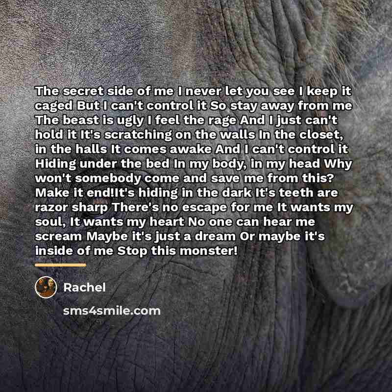 “The secret side of me I never let you see…” quote by Rachel