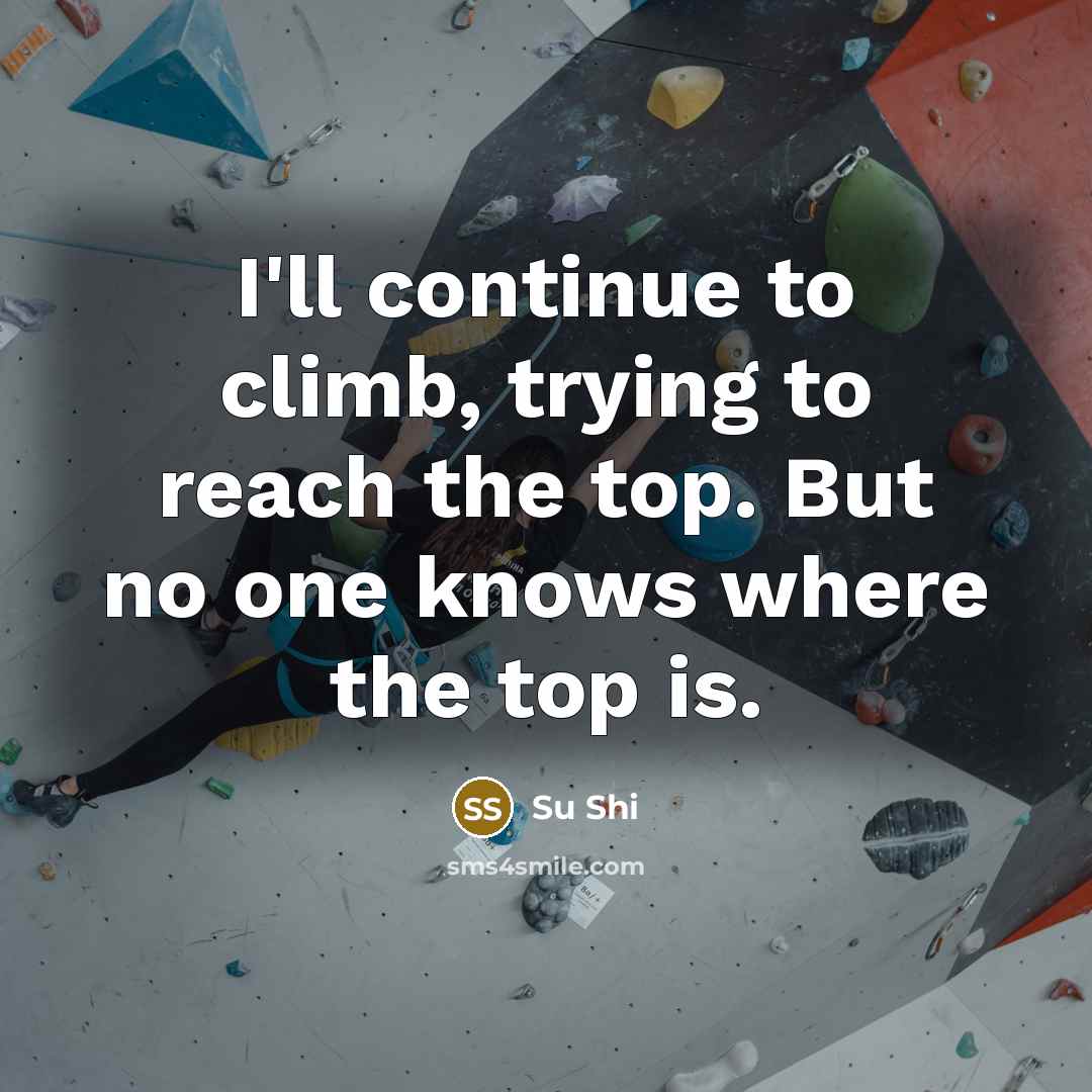 “I'll continue to climb, trying to reach the top. But…” quote by Su Shi