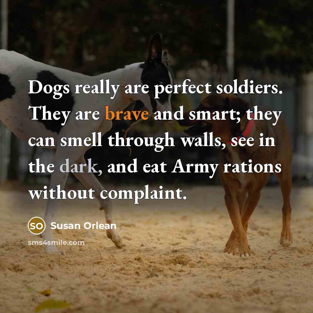 “Dogs really are perfect soldiers. They are brave and smart;…” quote by Susan Orlean