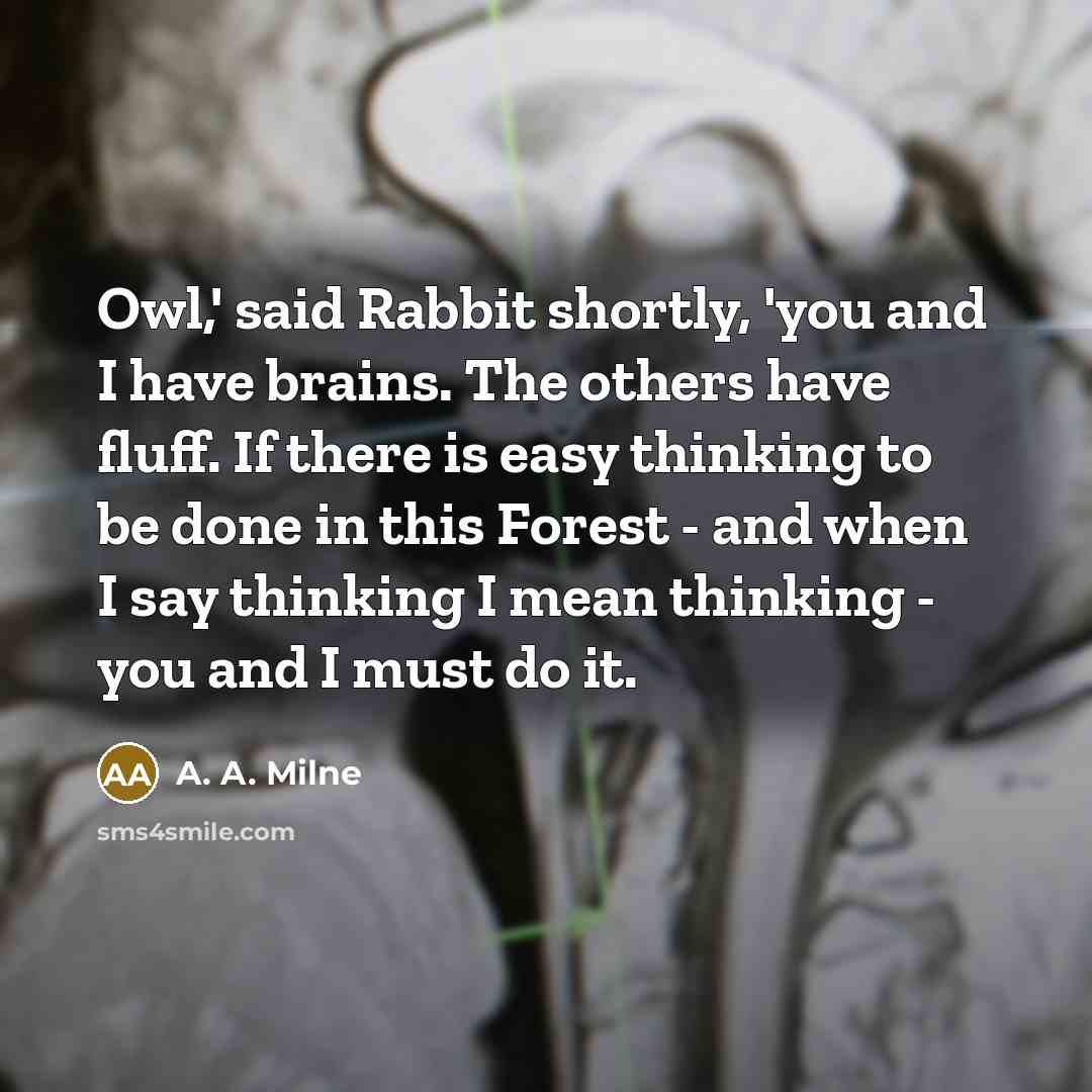 “Owl,' said Rabbit shortly, 'you and I have brains. The…” quote by A. A. Milne