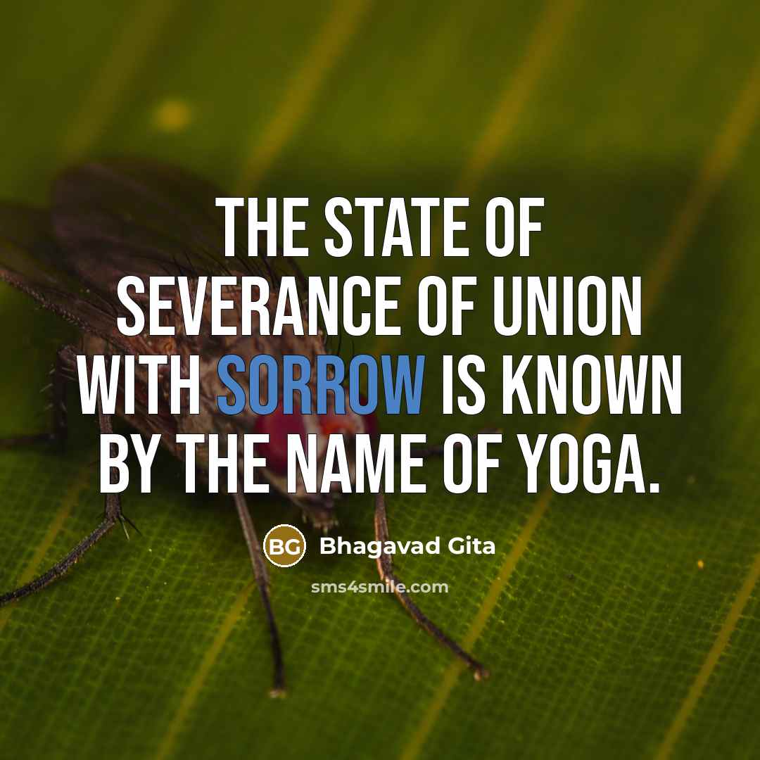 “The state of severance of union with sorrow is known…” quote by Bhagavad Gita