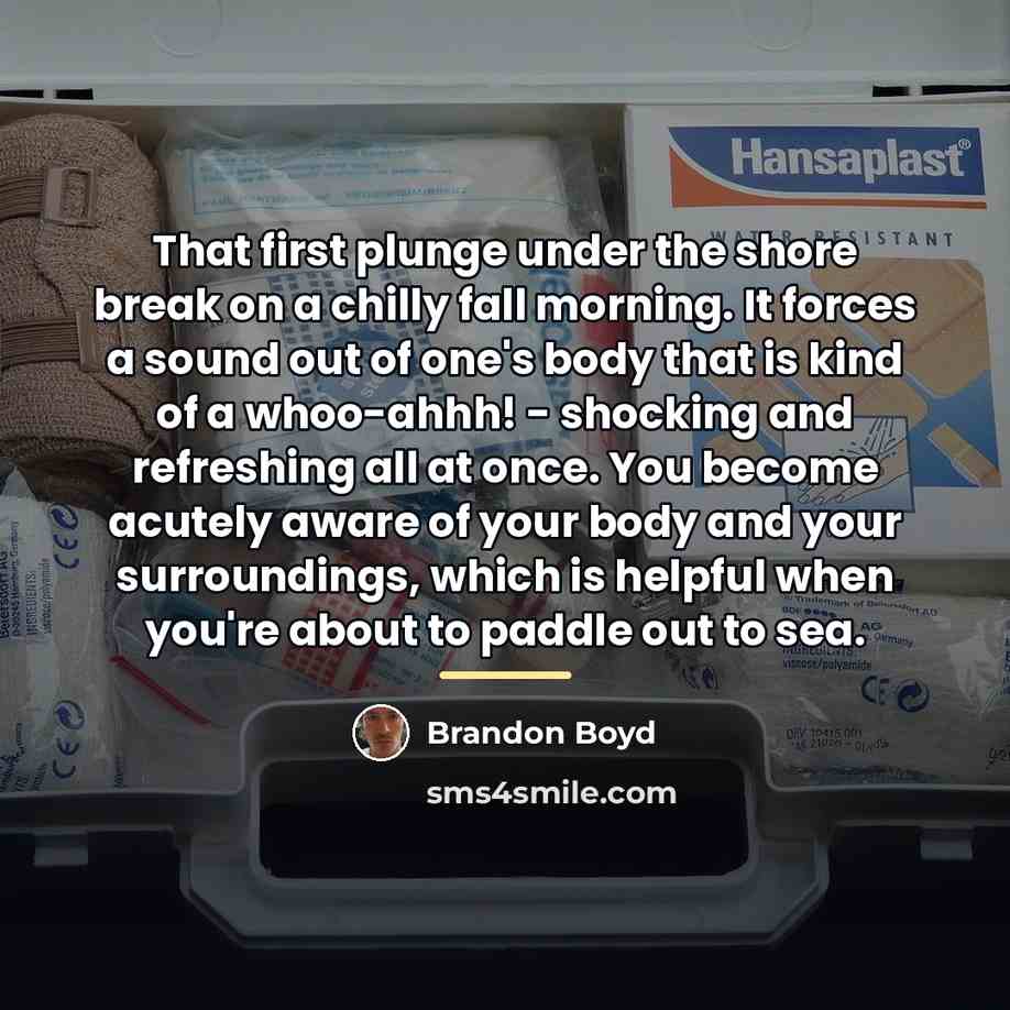“That first plunge under the shore break on a chilly…” quote by Brandon Boyd