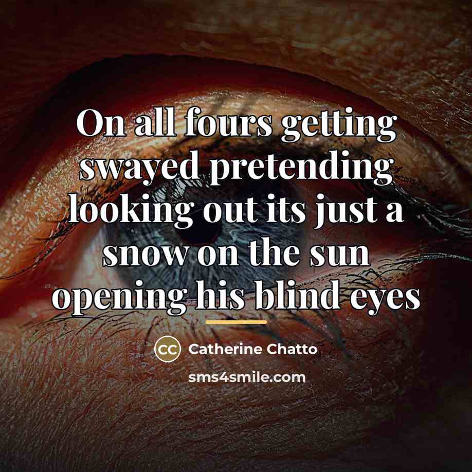 “On all fours getting swayed pretending looking out its just…” quote by Catherine Chatto