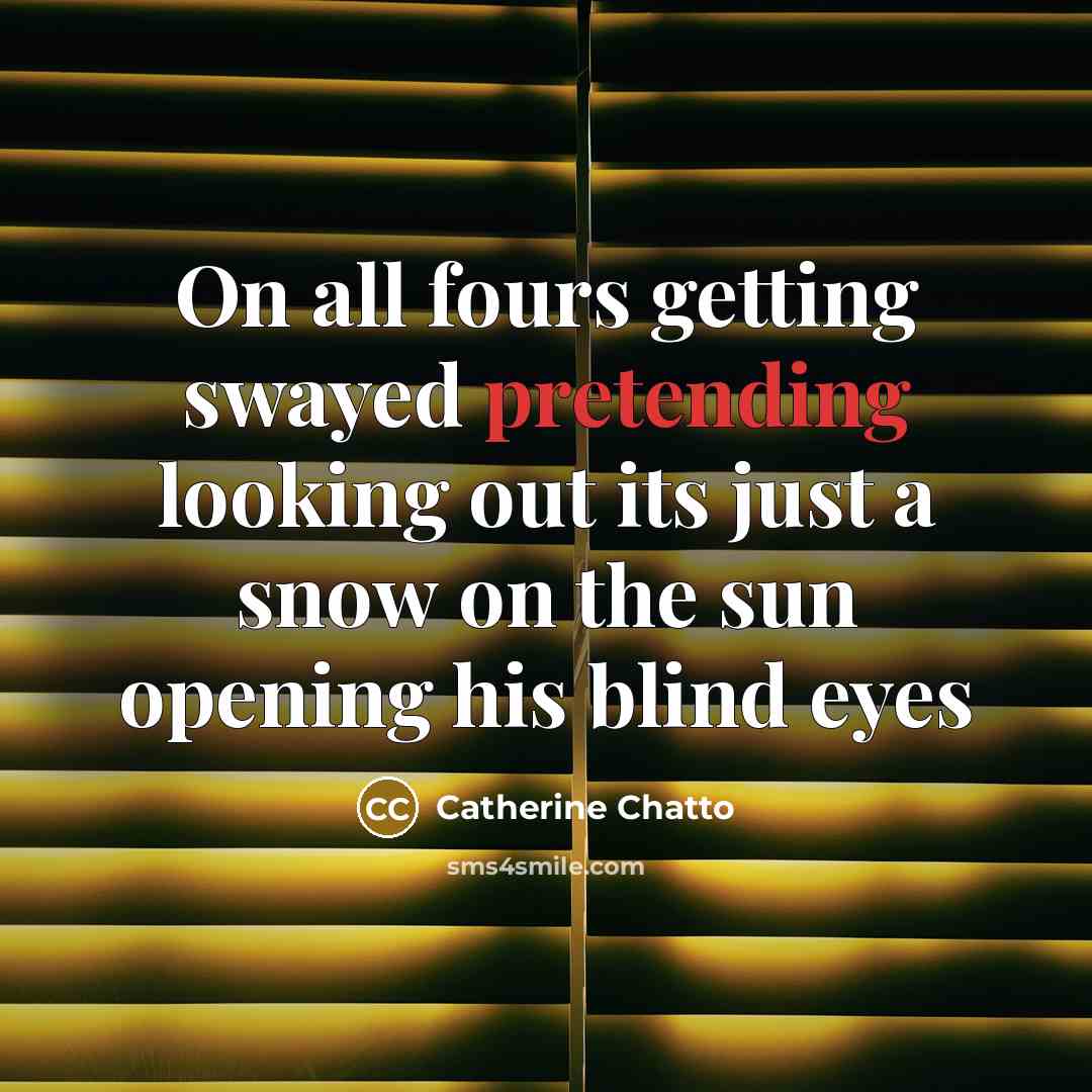 “On all fours getting swayed pretending looking out its just a snow on the sun opening his blind eyes” quote by Catherine Chatto
