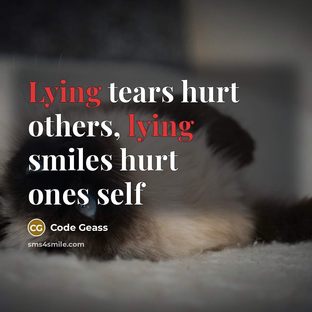 “Lying tears hurt others, lying smiles hurt ones self…” quote by Code Geass