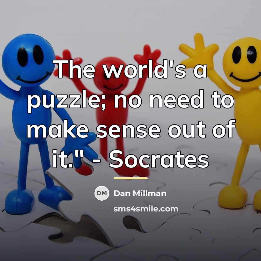 “The world's a puzzle; no need to make sense out…” quote by Dan Millman