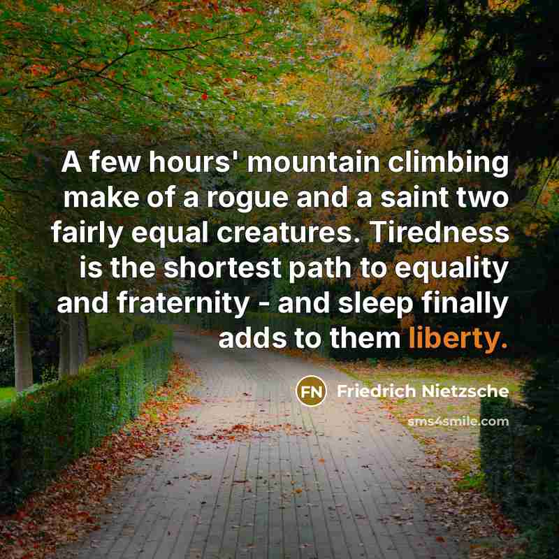 “A few hours' mountain climbing make of a rogue and…” quote by Friedrich Nietzsche