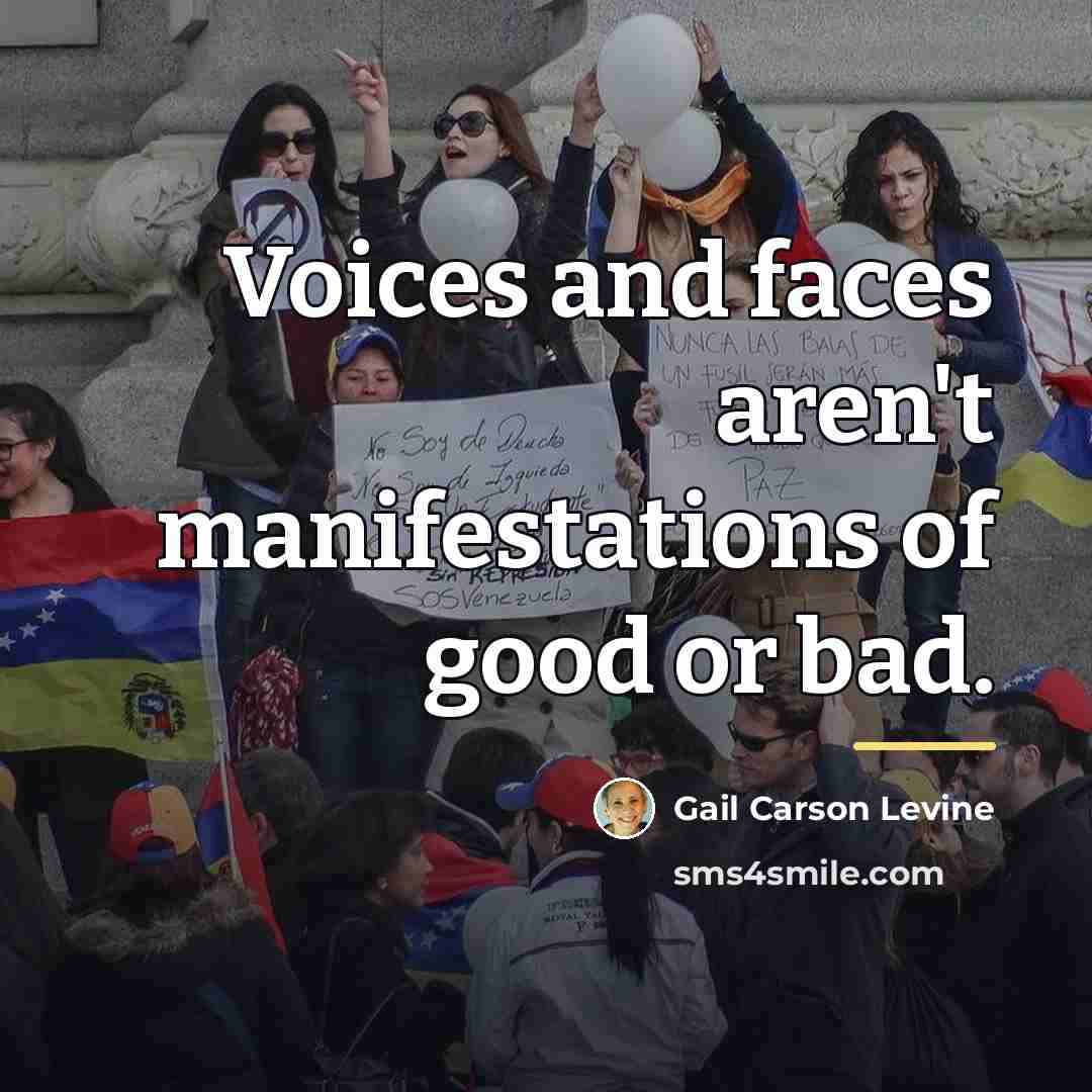 “Voices and faces aren't manifestations of good or bad.…” quote by Gail Carson Levine