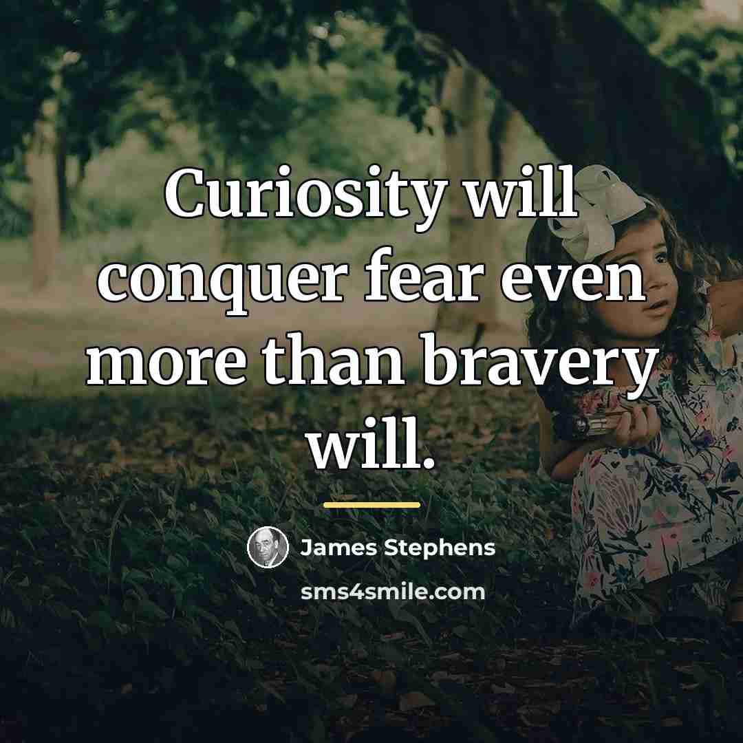 “Curiosity will conquer fear even more than bravery will.…” quote by James Stephens