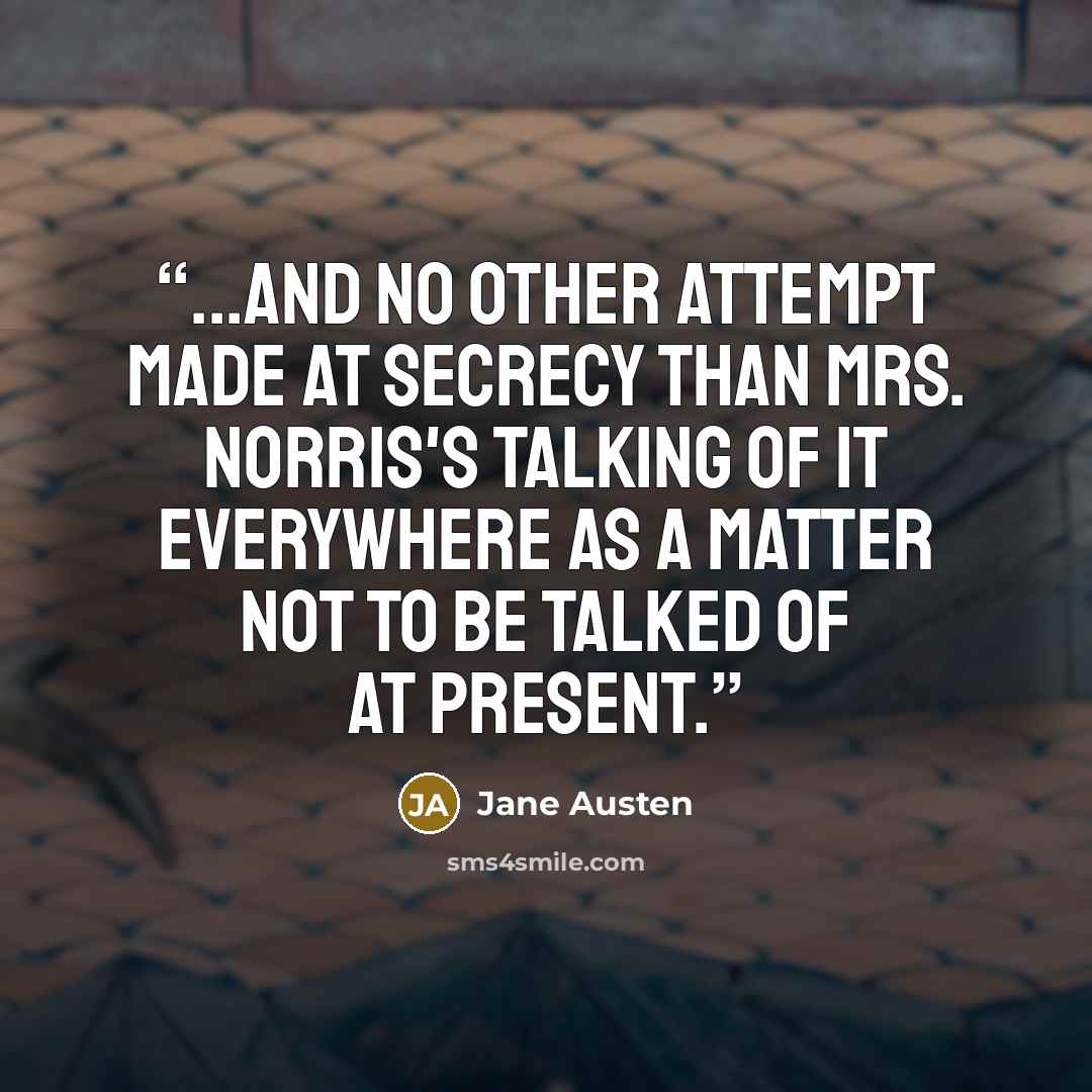 “...and no other attempt made at secrecy than Mrs. Norris's talking of it everywhere as a matter not to be talked of at present.” quote by Jane Austen