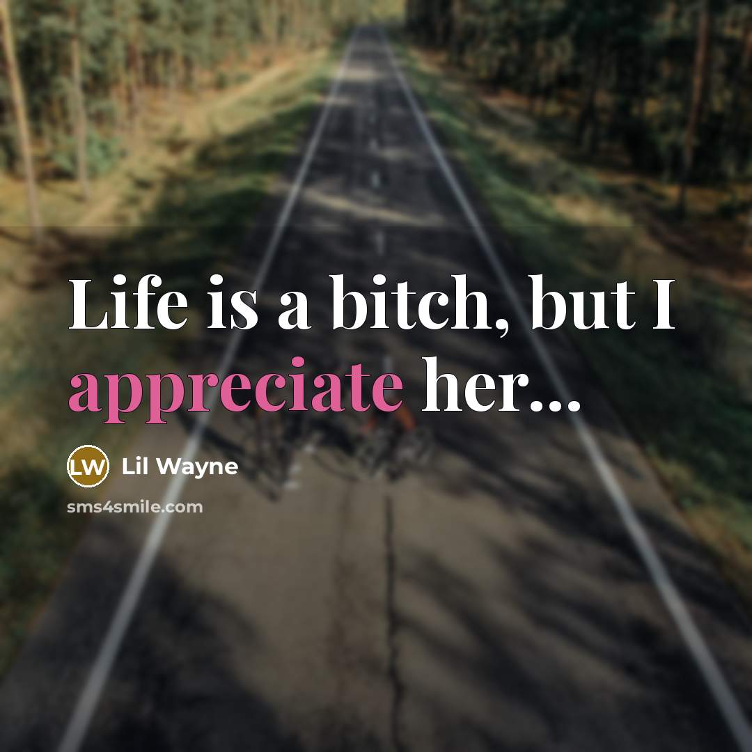 “Life is a bitch, but I appreciate her...…” quote by Lil Wayne