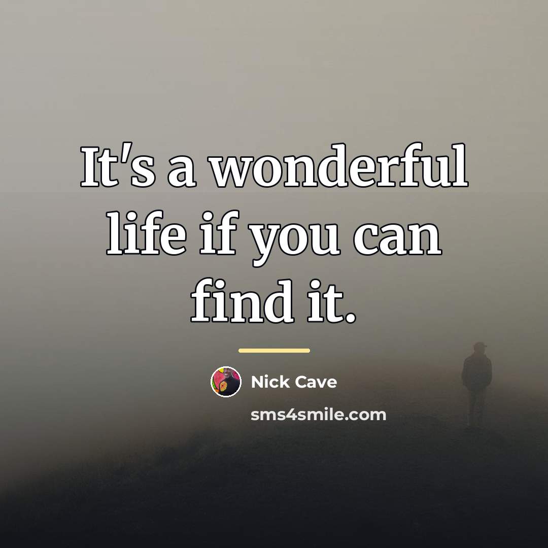 “It's a wonderful life if you can find it.…” quote by Nick Cave